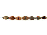 7 Count Graduated Multicolor Thunder Egg Agate Polished Ellipse