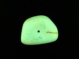 Chrysoprase Smooth Polished Nugget
