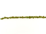 Green Garnet Varied Size Simple Cut Nuggets, 28 Count