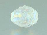 24mm Clear Whirled Dichroic Glass Oval (Closeout)