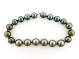 Graduated Multicolor Shell Pearl Rounds, 20 Count (Closeout)