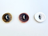 17mm Assorted Metals Sand Dollar Button, 1 Count