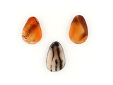 3 Count Moss Agate Top Drilled Flat Pears