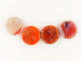 5 Count 20mm Fire Agate Polished Coins