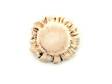 Approx. 30-40mm Deer Antler Polished Undrilled Rosette, 1 Count (Closeout)